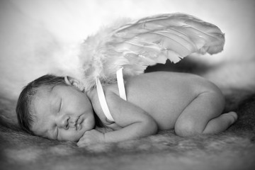 Black and white photo of a new born baby wearing angel wings.