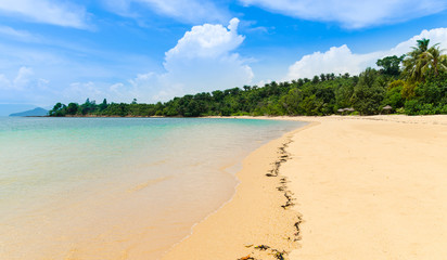 The Beach in Thailand