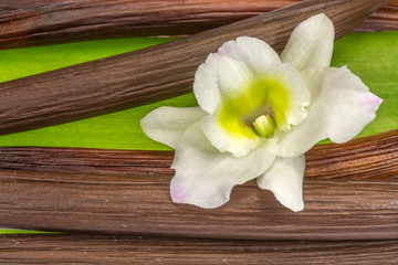Fototapeta na wymiar orchidée blanche sur gousses et feuille de vanille Bourbon