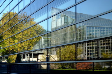 Obraz na płótnie Canvas Gewächshaus spiegelt sich in Fassade