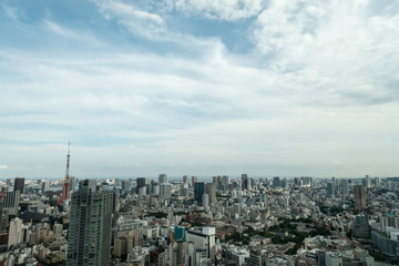 Naklejka premium Tokyo Tower i widok z góry na panoramę miasta