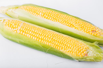 Two cob of corn  isolated on white background