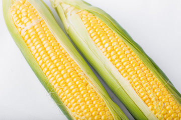 Two cob of corn  isolated on white background
