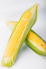 Two cob of corn  isolated on white background © aneta_gu