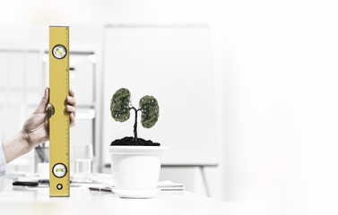 Growth and income