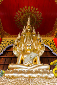 image of Buddha Thailand
