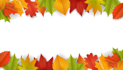 Herbst / Hintergrund / Vektor / Laub