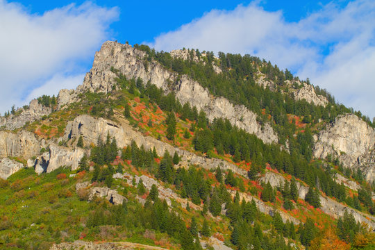 Autumn color in the Ogden River Valley in the Wasatch Mountains of Utah