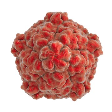 Tobacco ringspot virus isolated on white background. A model is built using data of viral macromolecular structure furnished by Protein Data Bank (PDB 1A6C)