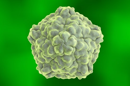 Tobacco ringspot virus on colorful background. A model is built using data of viral macromolecular structure furnished by Protein Data Bank (PDB 1A6C)