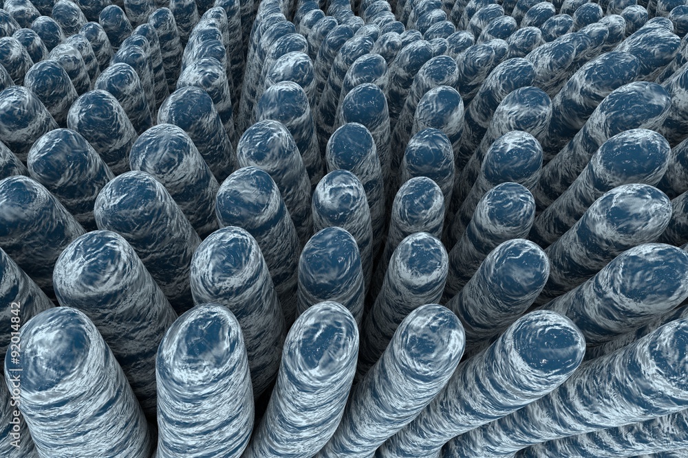 Fototapete microscopic view of intestinal villi. intestinal environment, close-up view. microstructure of intes