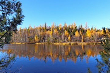 Fall in Siberia