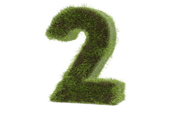 Realistic Isolated Grass Number Two.