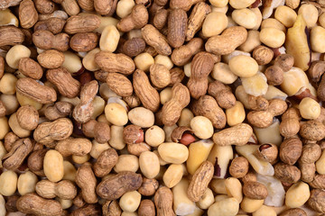 Peanut and Brazil Nut Mix