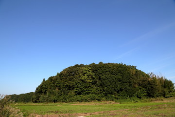 里山の風景（千葉県印西市）