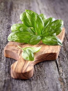 Basil on a wooden background