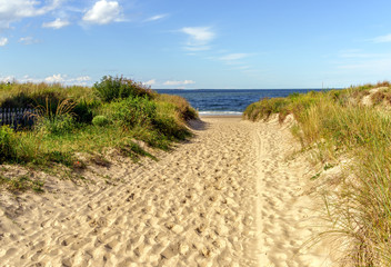 Fototapeta na wymiar Beach Path