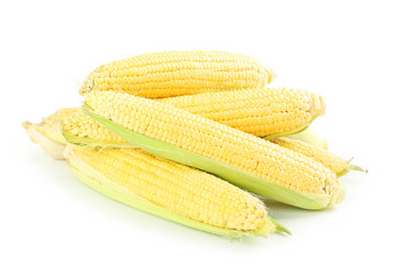 Corns isolated on a white