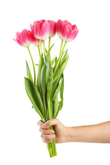 Male hand holding beautiful tulips on white background