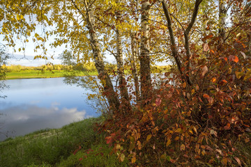 Bright autumn landscape 