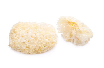 Fototapeta na wymiar Chinese food tremella fuciformis white fungus isolated