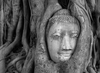 Head of Buddha in Banyan tree, Ayutthaya Thailand