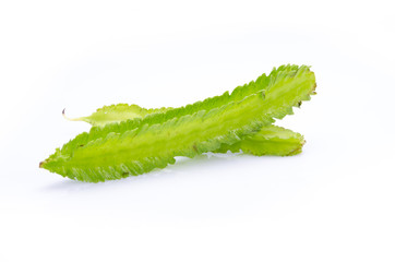 Young Winged Beans ;Psophocarpus tetragonolobus Linn