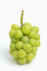 ブドウ　シャインマスカット