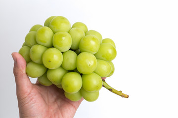 ブドウ　シャインマスカット