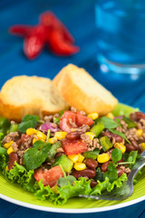 Chili con carne salad with mincemeat, kidney beans, watercress, green bell pepper, tomato, sweet corn, red onions (Selective Focus, Focus in middle of salad)
