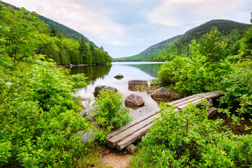 Fototapeta premium Acadia National Park