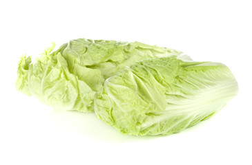 Chinese cabbage isolated on white