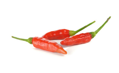 Hot red chili or chilli pepper isolated on white background