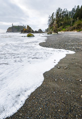 Pacific coast, Olympic National Park