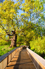 Nisqually National Wildlife Refuge