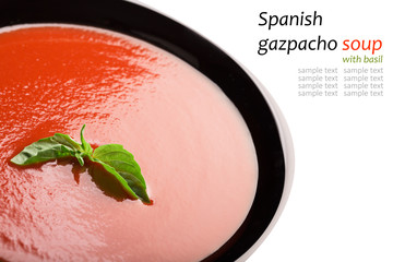 Spanish tomato gazpacho soup