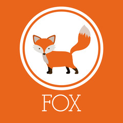 Fox design 