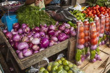 Vegetables in the market