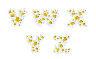 Alphabet of Marguerites