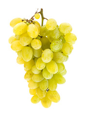 White grape cluster