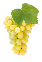 White grape cluster with leaf