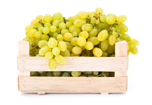 White table grapes (Vitis) in wooden crate