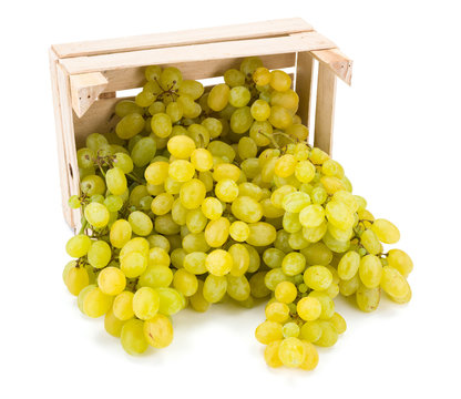 White table grapes (Vitis) in wooden crate
