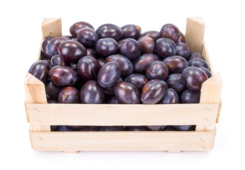 Plums (Prunus) in wooden crate
