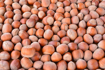 Full frame of hazelnuts