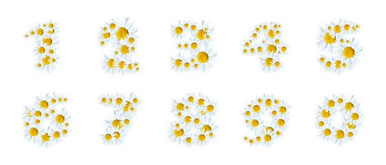 Alphabet of Marguerites