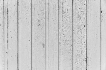 Obraz premium weiße Holztextur für Hintergrund