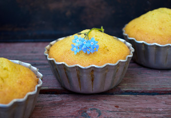 Muffins with blue flowers on wooden background