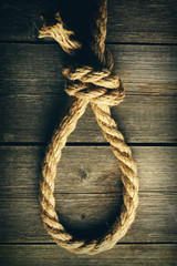 Rope noose with knot