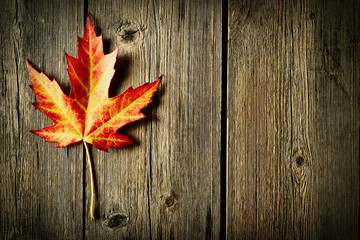 Naklejka na ściany i meble Autumn maple leaf over wooden background